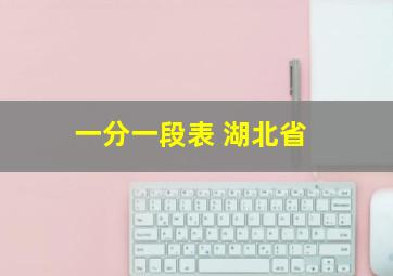 一分一段表 湖北省